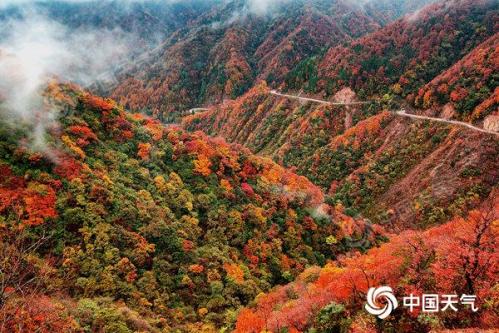 红叶季开启！2024全国赏红叶地图出炉 盘点十大推荐地独家秋色
